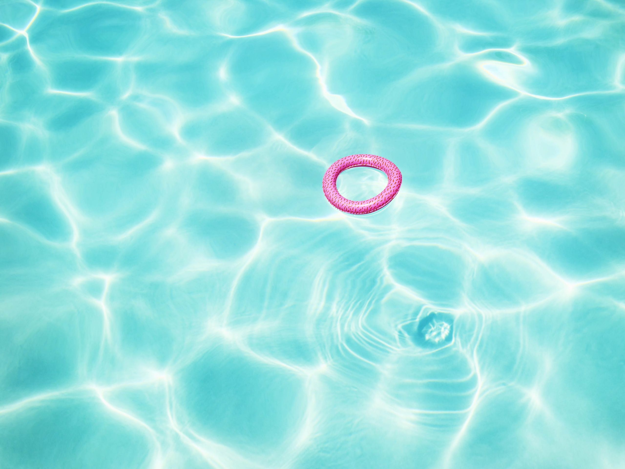 Pink In Blue - I Heart Palm Springs Collection - Fine Art Photography by Toby Dixon