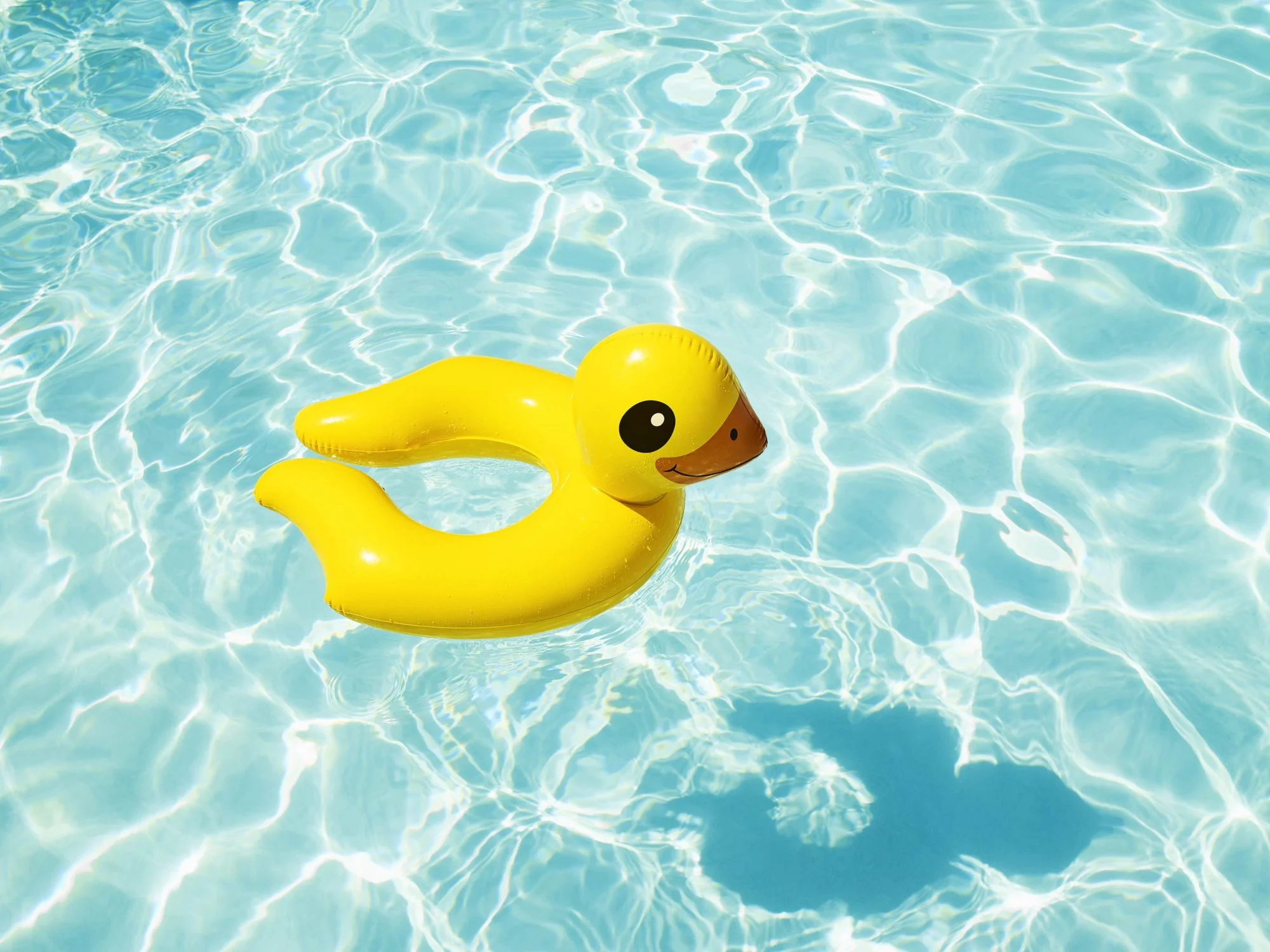 Duckie - I Heart Palm Springs Collection - Fine Art Photography by Toby Dixon