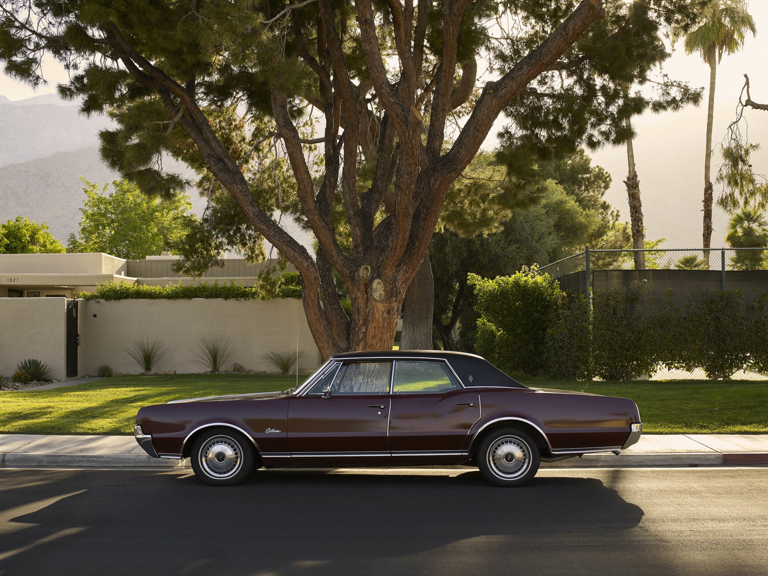 Oldsmobile - I Heart Palm Springs Collection - Fine Art Photography by Toby Dixon