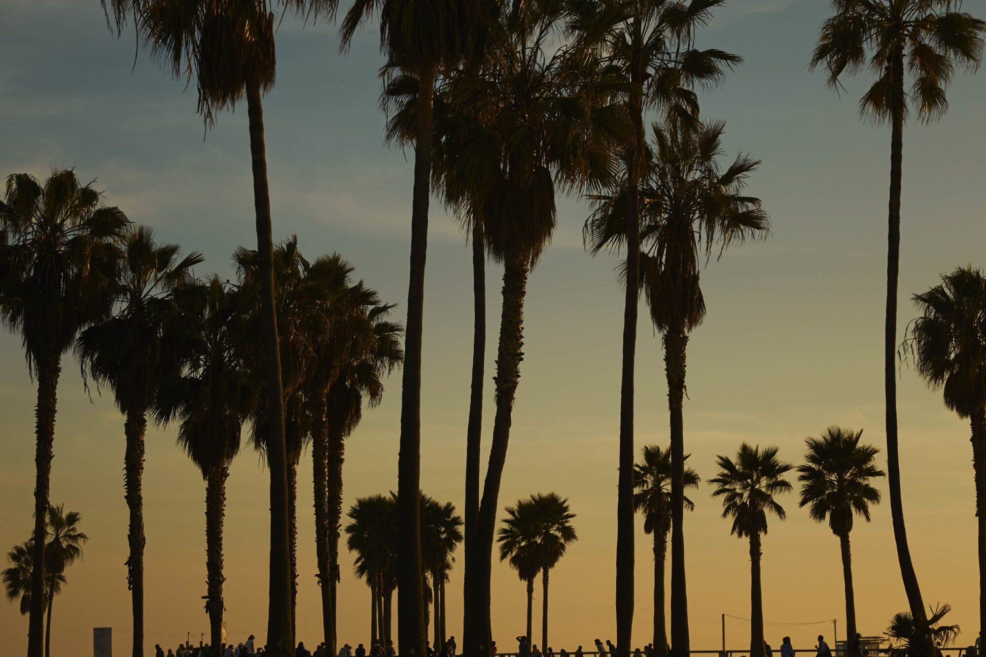 Skate Park, Venice Beach