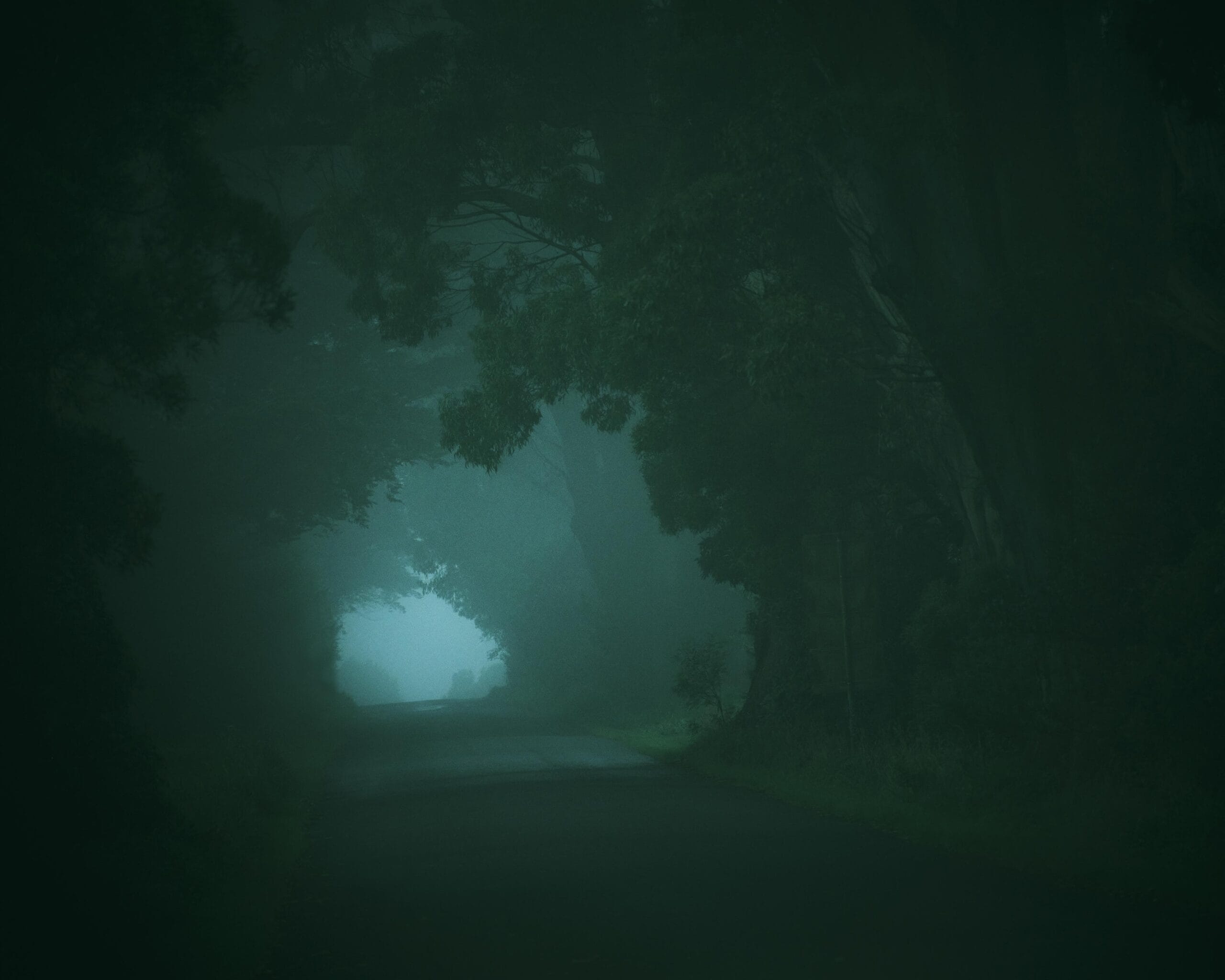 Avoca - Talking To Fog Collection - Fine Art Photography by Toby Dixon