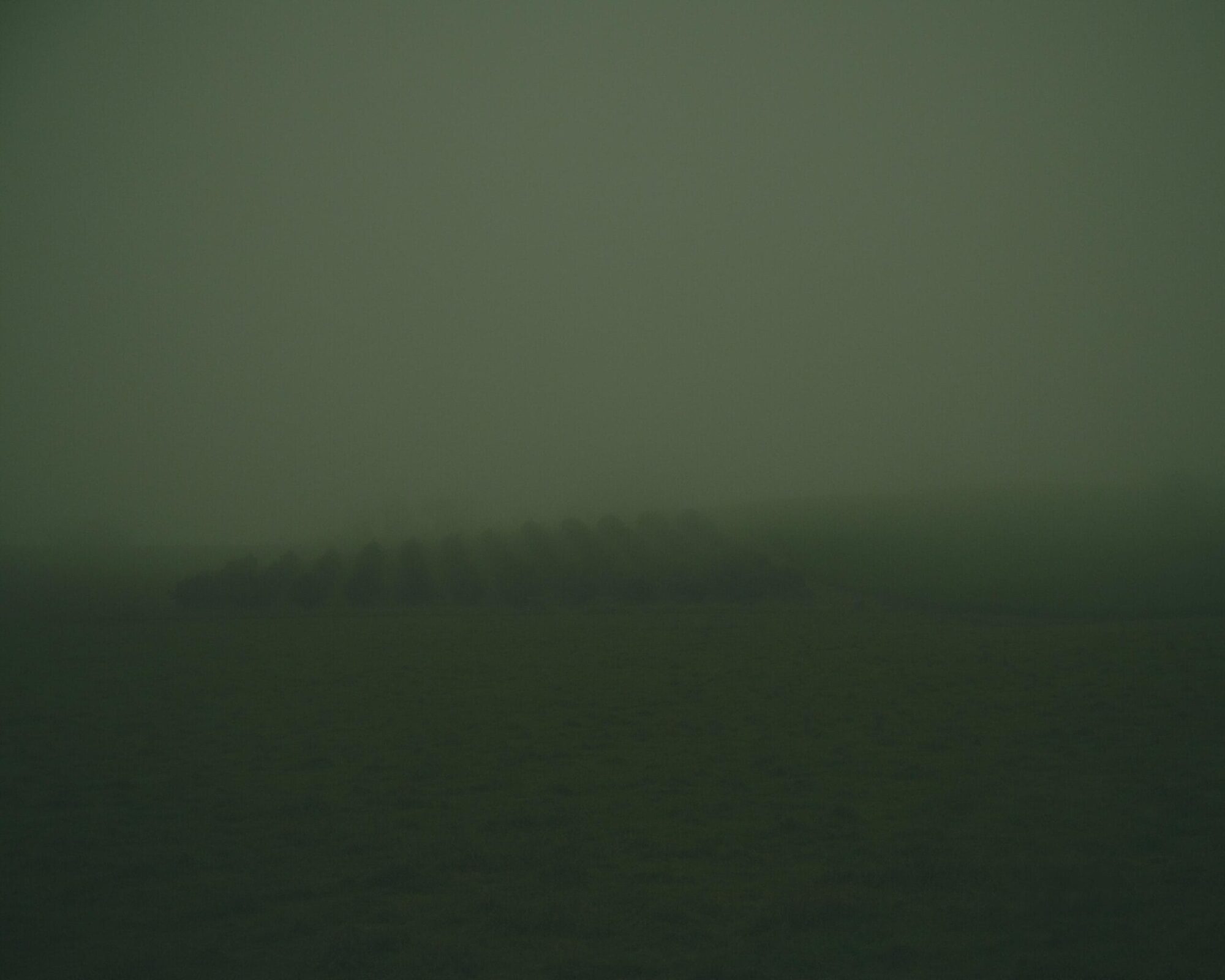 Vineyard, Glenquarry - Talking To Fog Collection - Fine Art Photography by Toby Dixon